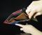Жіночий шкіряний гаманець ST компактний чорний на магніті